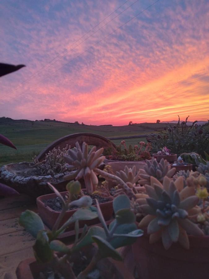 Agriturismo Enjoy Sunset Cinigiano Esterno foto